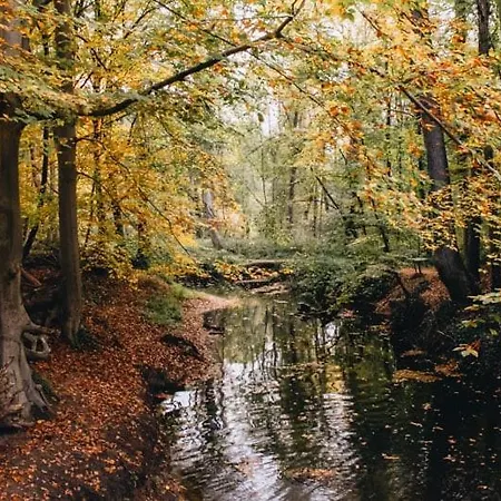 Lovely Lots Of Privacy