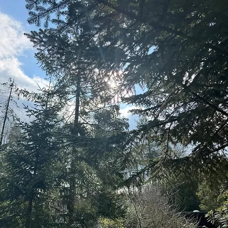 펜션 Lovely Lots Of Privacy *