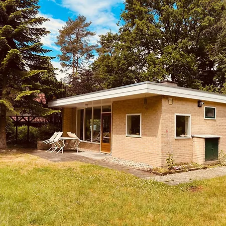 Lovely Lots Of Privacy Casa vacanze Winterswijk