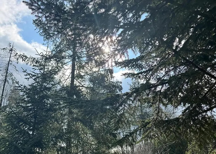 Vakantiehuis Lovely Lots Of Privacy *