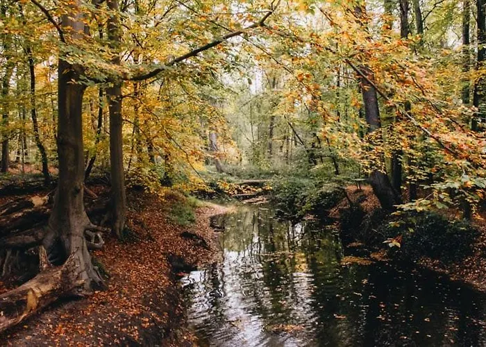 Lovely Lots Of Privacy